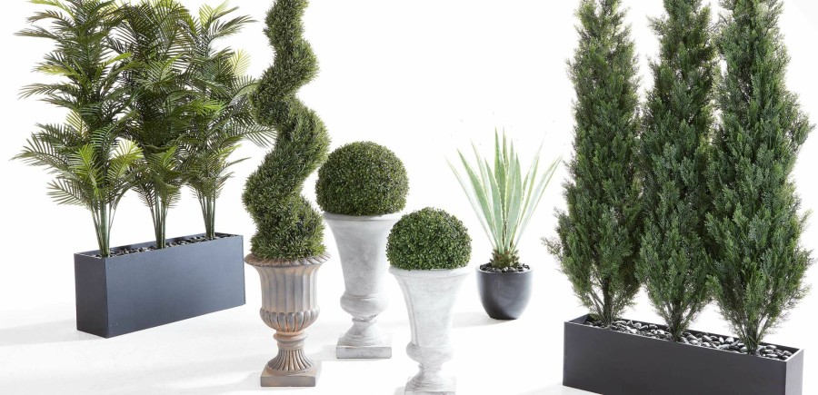 Outdoor Accessories Ethan Allen | Indoor-Outdoor Cedar Trees