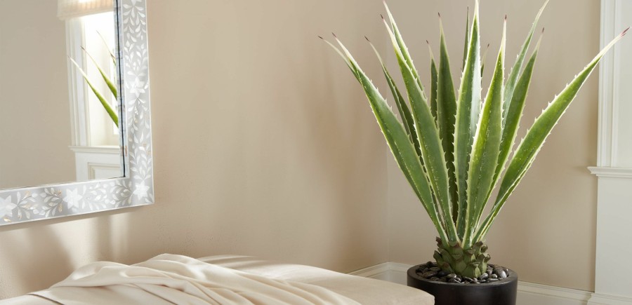 Outdoor Accessories Ethan Allen | Indoor-Outdoor Agave In Planter