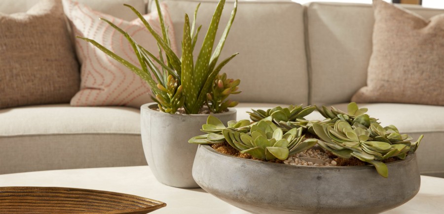 HOME OFFICE Ethan Allen | Aloe And Succulents In Grey Pot, 10"