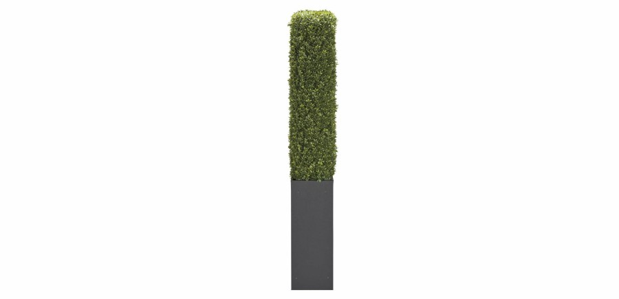 Outdoor Accessories Ethan Allen | Indoor-Outdoor Boxwood Hedge